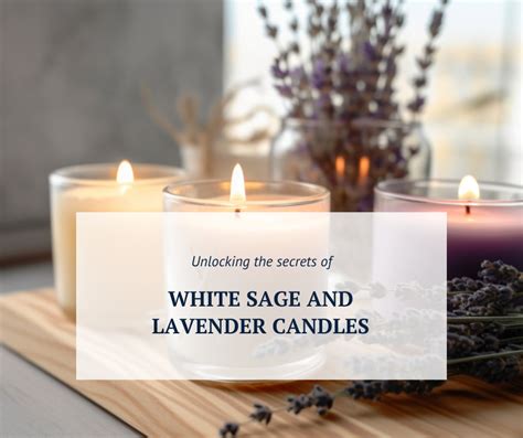 Magical Bath Rituals with Lavender: Cleansing and Rejuvenation